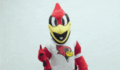 Mascot Reggie GIF by Illinois State University