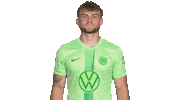 Germany Love Sticker by VfL Wolfsburg