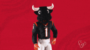High Five Nfl GIF by Houston Texans