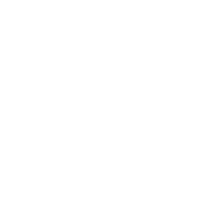 India Records Sticker by SE3K