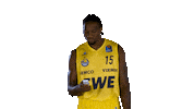 Ewe Baskets Basketball Sticker by EWE Baskets Oldenburg