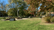 GIF by MercyhurstU