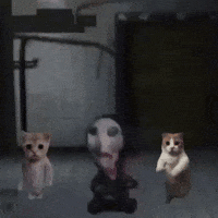 Me Elevo Al Papear GIF