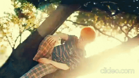 Jcrnd giphygifmaker mv ace GIF