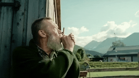 Upvote GIF by Imgur