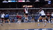 Gojays GIF by Creighton University Athletics
