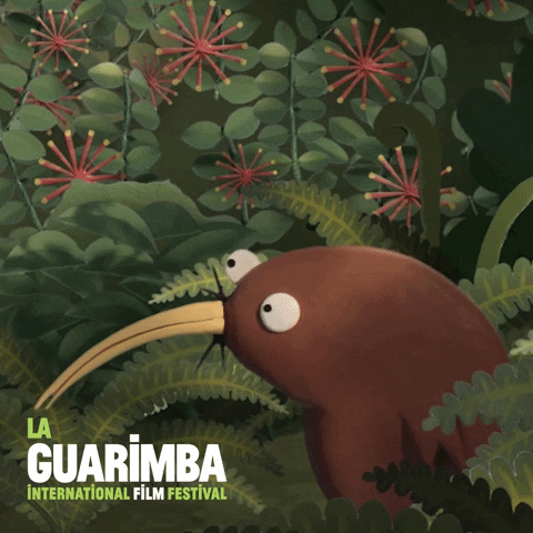 Whats Going On What GIF by La Guarimba Film Festival