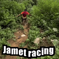 Jamet GIF