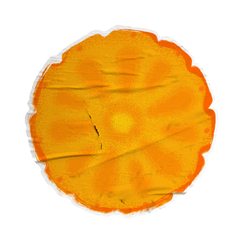 Fruit Pineapple Sticker by Extrafruti