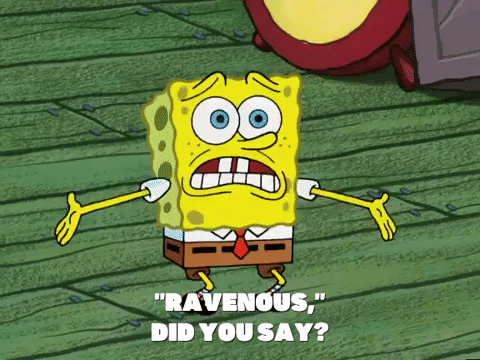 season 4 GIF by SpongeBob SquarePants