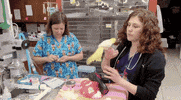 nat geo wild pets GIF by Dr. K's Exotic Animal ER
