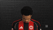 Eintracht Frankfurt GIF by Bundesliga
