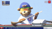 Chicago Cubs Win GIF