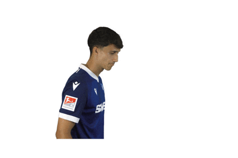 Soccer Bundesliga Sticker by Karlsruher SC