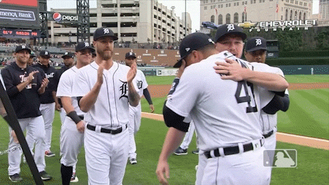 players tigers GIF by MLB