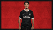 Sc Freiburg Football GIF by Bundesliga