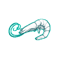 Ocean Swimming Sticker by Louisiana's Cajun Bayou