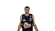 Basketball Swipe Sticker by HAKRO Merlins Crailsheim