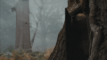 winnie the pooh GIF by Walt Disney Studios