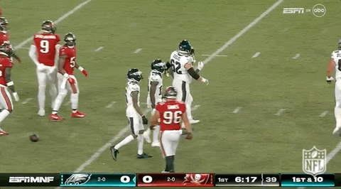 National Football League GIF by NFL