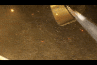 Vicky Kaushal GIF by Marathi PR