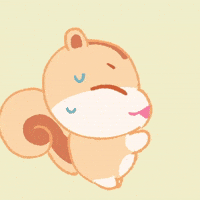 Ateez Squirrel GIF