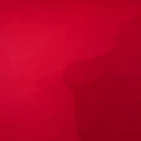 Texas Tech GIF by Texas Tech Baseball