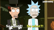 Season 1 Episode 109 GIF by Rick and Morty