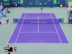 vamos rafael nadal GIF