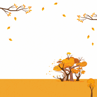 Happy Thanks GIF by SacredPlantCO