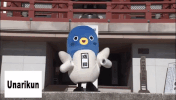 japan fly GIF