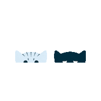 oscarandlibbys cats oscarandlibbys oscar and libbys Sticker