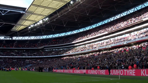 london football GIF by Tottenham Hotspur