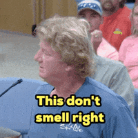 Smells Bad Something Fishy GIF by Get The Coast