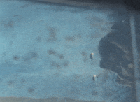 Water Snap GIF