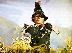 Scarecrow GIFs - Get the best GIF on GIPHY