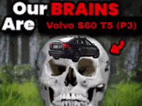 P3 V60 GIF