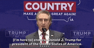 Donald Trump GIF