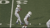 LafayetteLeopards football sack lafayette leopards GIF