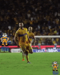 Liga Mx Tigres GIF