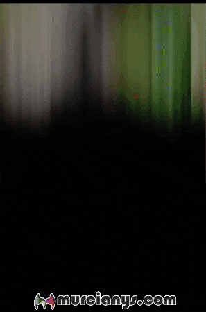 Que La Amigos GIF by Murcianys LLC