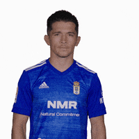 Segunda Division Sport GIF by Real Oviedo