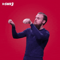 Feeling Music Director GIF by SWR3