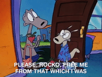 rockos modern life nicksplat GIF