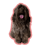 heymadinelson dog pup winnie heymadinelson Sticker