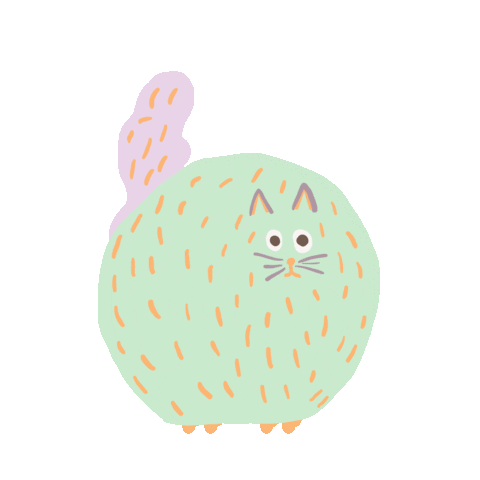 Cat Cansinkonca Sticker