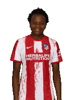 Football Soccer Sticker by Atlético de Madrid