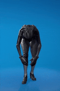 Dance Emote GIF
