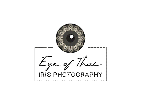 IrisFotoSchweiz giphyupload photography eye switzerland Sticker