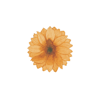 KatjaRei boho floral watercolor blume Sticker